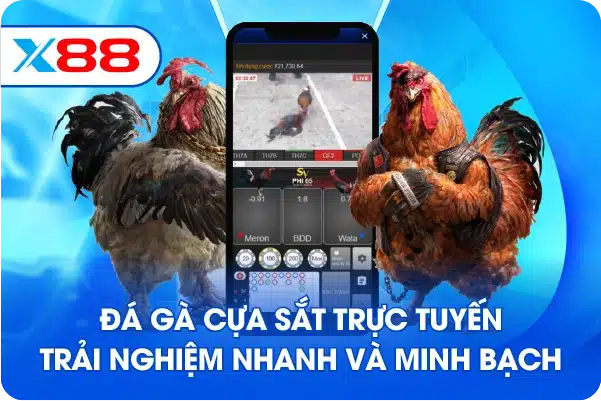 Đá gà cựa sắt trực tuyến trải nghiệm nhanh và minh bạch